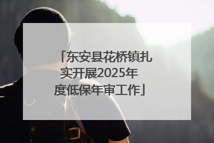 东安县花桥镇扎实开展2025年度低保年审工作