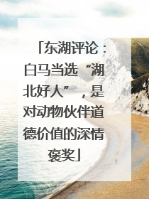 东湖评论：白马当选“湖北好人”，是对动物伙伴道德价值的深情褒奖