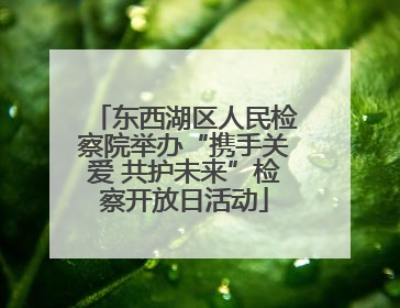 东西湖区人民检察院举办“携手关爱 共护未来”检察开放日活动