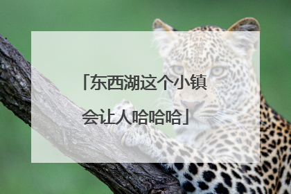 东西湖这个小镇会让人哈哈哈