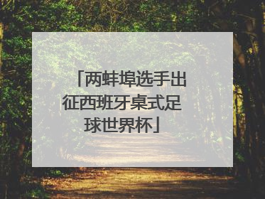 两蚌埠选手出征西班牙桌式足球世界杯