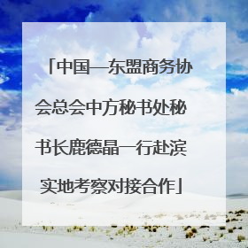 中国—东盟商务协会总会中方秘书处秘书长鹿德晶一行赴滨实地考察对接合作