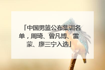 中国男篮公布集训名单，周琦、曾凡博、雷蒙、廖三宁入选