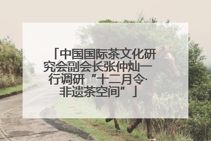 中国国际茶文化研究会副会长张仲灿一行调研“十二月令·非遗茶空间”
