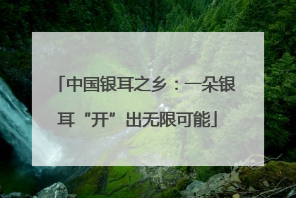 中国银耳之乡：一朵银耳“开”出无限可能
