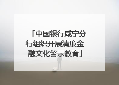 中国银行咸宁分行组织开展清廉金融文化警示教育