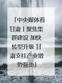 中央媒体看甘肃丨聚焦集群建设 加快转型升级 甘肃支柱产业增势强劲