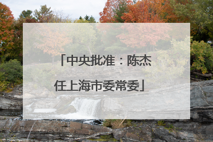 中央批准：陈杰任上海市委常委
