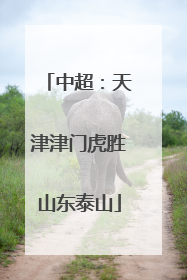 中超：天津津门虎胜山东泰山