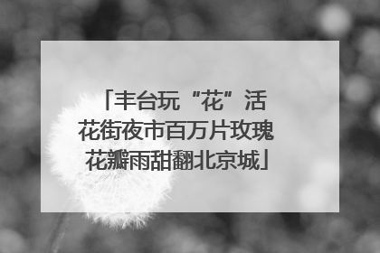 丰台玩“花”活 花街夜市百万片玫瑰花瓣雨甜翻北京城