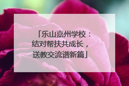 乐山嘉州学校：结对帮扶共成长，送教交流谱新篇