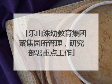 乐山洙幼教育集团聚焦园所管理，研究部署重点工作