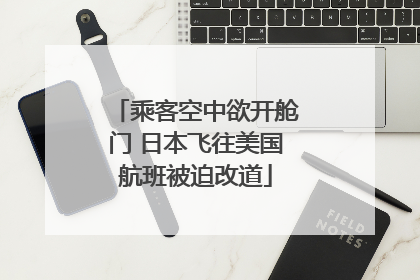 乘客空中欲开舱门 日本飞往美国航班被迫改道