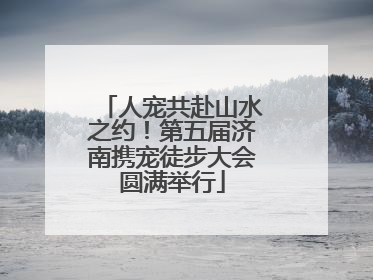 人宠共赴山水之约！第五届济南携宠徒步大会圆满举行