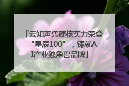云知声凭硬核实力荣登“星辰100”，铸就AI产业独角兽品牌