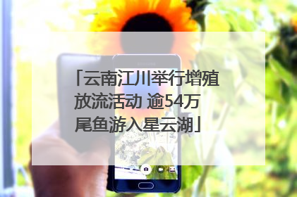 云南江川举行增殖放流活动 逾54万尾鱼游入星云湖