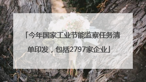 今年国家工业节能监察任务清单印发，包括2797家企业