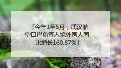 今年1至5月，武汉航空口岸免签入境外国人同比增长160.87%