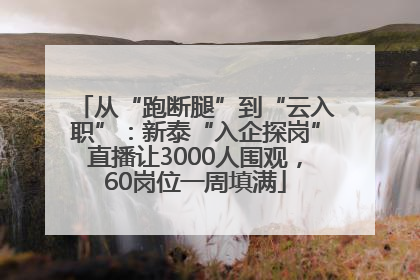 从“跑断腿”到“云入职”：新泰“入企探岗”直播让3000人围观，60岗位一周填满