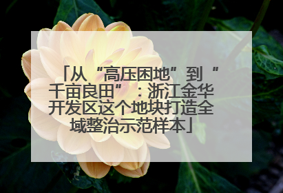 从“高压困地”到“千亩良田”：浙江金华开发区这个地块打造全域整治示范样本