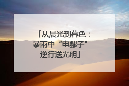 从晨光到暮色：暴雨中“电骡子”逆行送光明