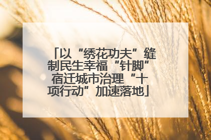 以“绣花功夫”缝制民生幸福“针脚” 宿迁城市治理“十项行动”加速落地