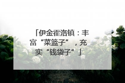 伊金霍洛镇：丰富“菜篮子”，充实“钱袋子”