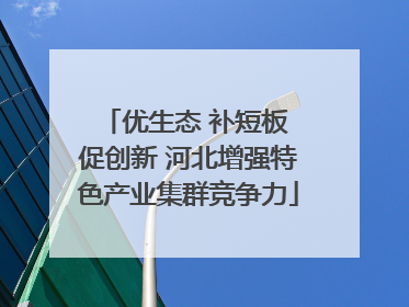 优生态 补短板 促创新 河北增强特色产业集群竞争力