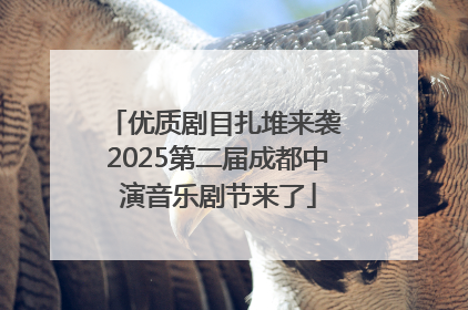 优质剧目扎堆来袭 2025第二届成都中演音乐剧节来了