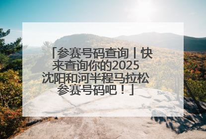 参赛号码查询丨快来查询你的2025沈阳和河半程马拉松参赛号码吧！