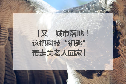 又一城市落地！这把科技“钥匙”帮走失老人回家