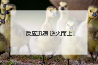 反应迅速 逆火而上