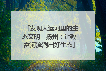 发现大运河里的生态文明｜扬州：让致富河流淌出好生态
