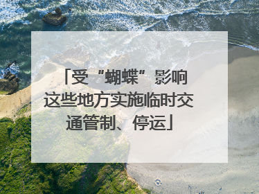 受“蝴蝶”影响 这些地方实施临时交通管制、停运