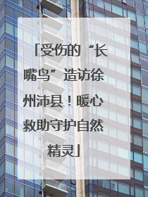 受伤的“长嘴鸟”造访徐州沛县！暖心救助守护自然精灵