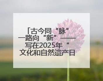 古今同“脉” 一路向“新”——写在2025年“文化和自然遗产日”之际