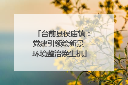 台前县侯庙镇：党建引领绘新景 环境整治焕生机