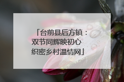台前县后方镇：双节同辉映初心 织密乡村温情网