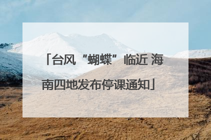 台风“蝴蝶”临近 海南四地发布停课通知