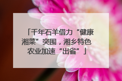千年石羊借力“健康湘菜”突围，湘乡特色农业加速“出省”
