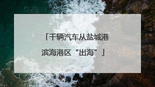 千辆汽车从盐城港滨海港区“出海”