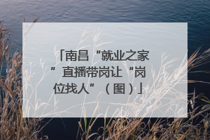 南昌“就业之家”直播带岗让“岗位找人”（图）