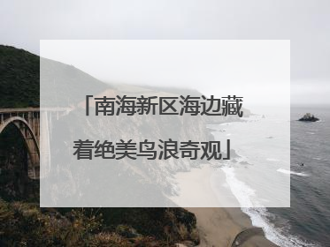 南海新区海边藏着绝美鸟浪奇观