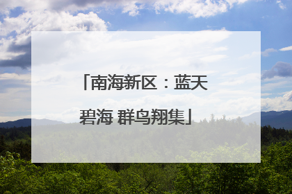 南海新区：蓝天碧海 群鸟翔集