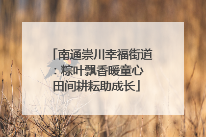 南通崇川幸福街道：粽叶飘香暖童心 田间耕耘助成长