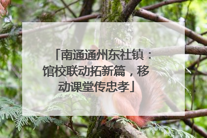 南通通州东社镇：馆校联动拓新篇，移动课堂传忠孝