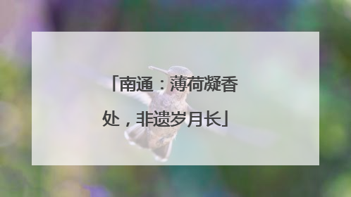 南通：薄荷凝香处，非遗岁月长