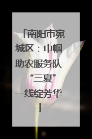 南阳市宛城区：巾帼助农服务队 “三夏”一线绽芳华