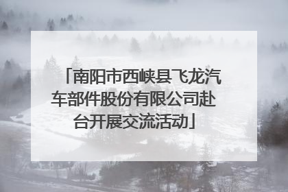 南阳市西峡县飞龙汽车部件股份有限公司赴台开展交流活动