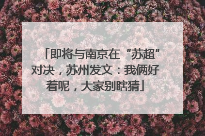 即将与南京在“苏超”对决，苏州发文：我俩好着呢，大家别瞎猜